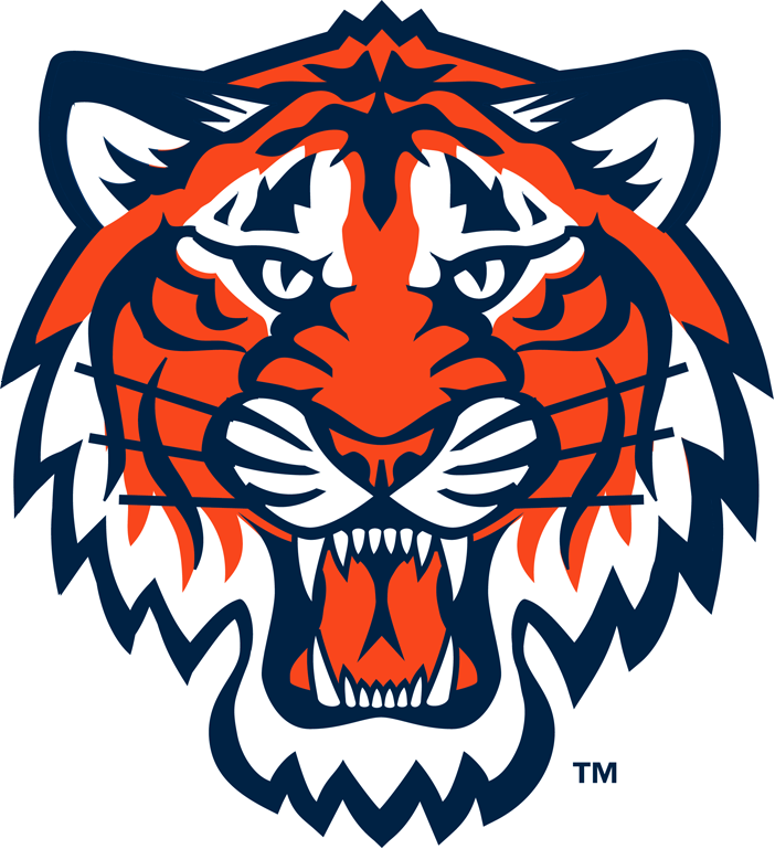 Detroit Tigers 1994-Pres Partial Logo iron on heat transfer...